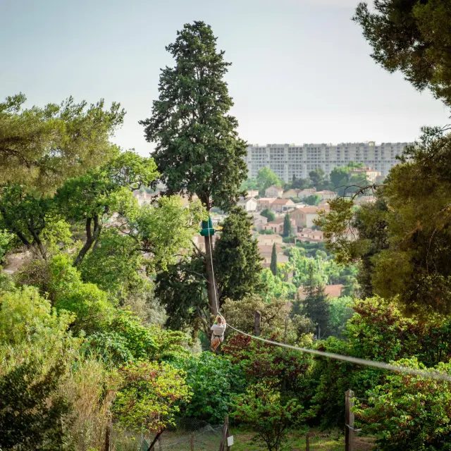 Tyrolienne dans un accrobranche