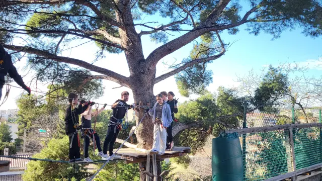 Accrobranche outing Scotlcm 7 Rotated