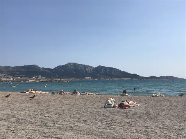 Plage Du Prado Nordvvotcm 1