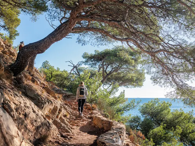 Nature sur le littoral de l'Estaque à Marseille