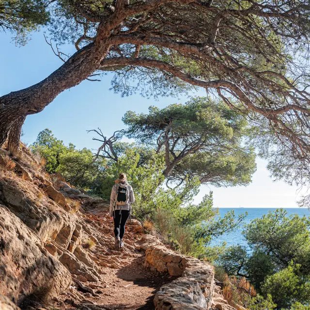 Côte rocheuse de l'Estaque