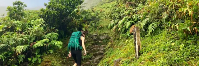 Montagne Pelée Volcan Randonnée Martinique