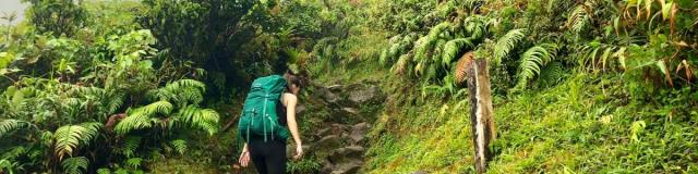 Mount Pelee Volcano Hiking Martinique