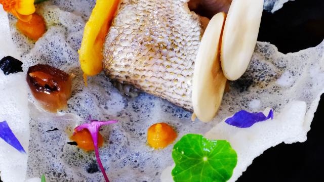 White Card Fish