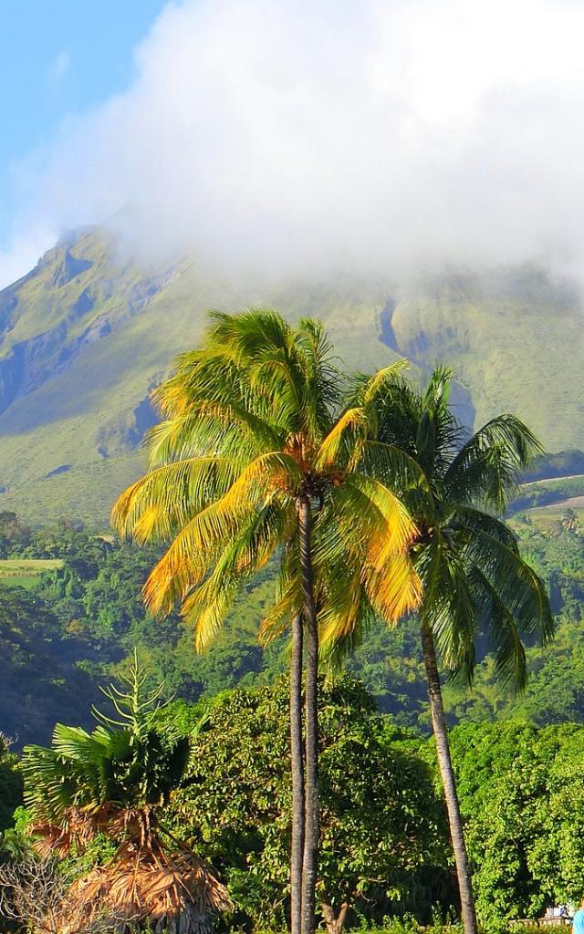Montagne Pelée Morne-Rouge Martinique