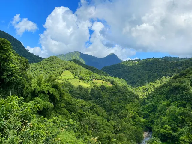 Randonnée Forêt Rivière Piton du Carbet Martinique