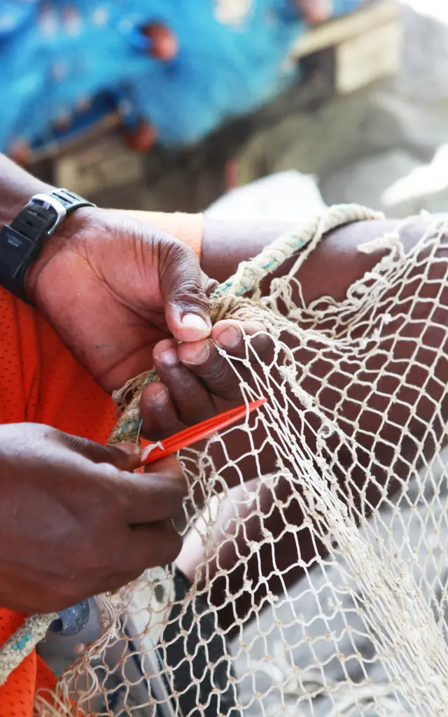 Filet Pêcheur Remaillage Belle-Fontaine Martinique