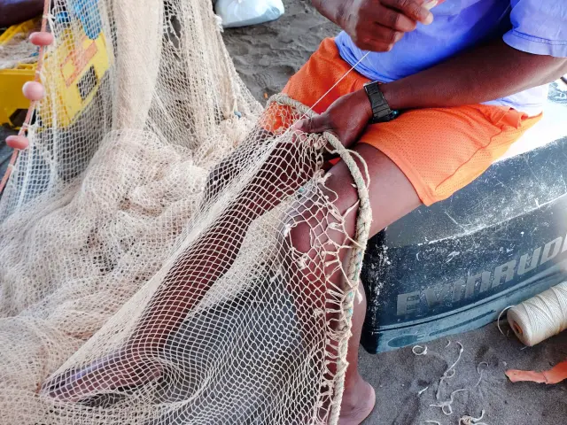 Fisherman Rewinding of net Belle-Fontaine Martinique