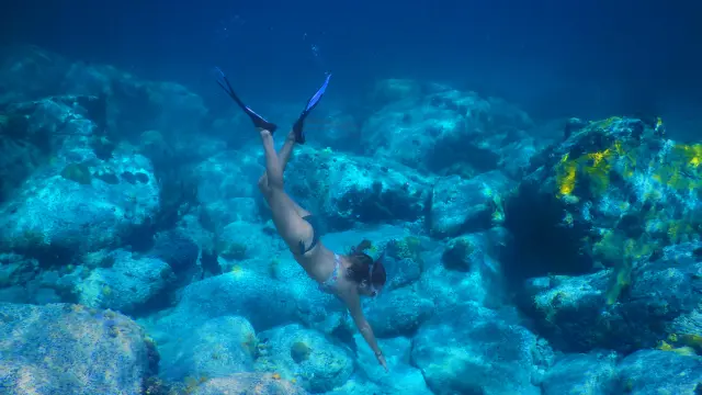 Snorkeling Diving Fins Snorkeling Grande-Anse-d'Arlet Martinique