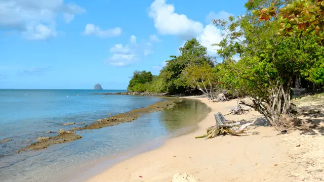 Plage de l'Anse Mabouya Sainte-Luce Martinique