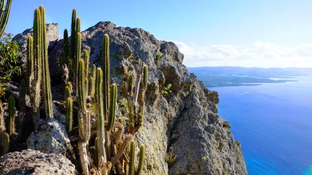 Morne Larcher Randonnée Cactus Diamant Martinique