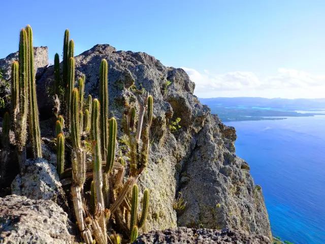 Morne Larcher Hiking Cactus Diamant Martinique