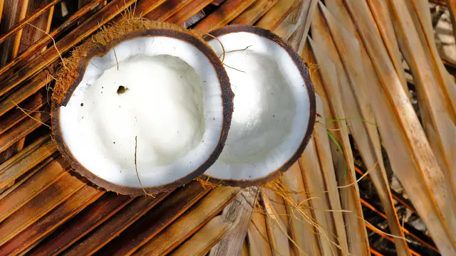 Noix de coco Cuisine Vauclin Martinique
