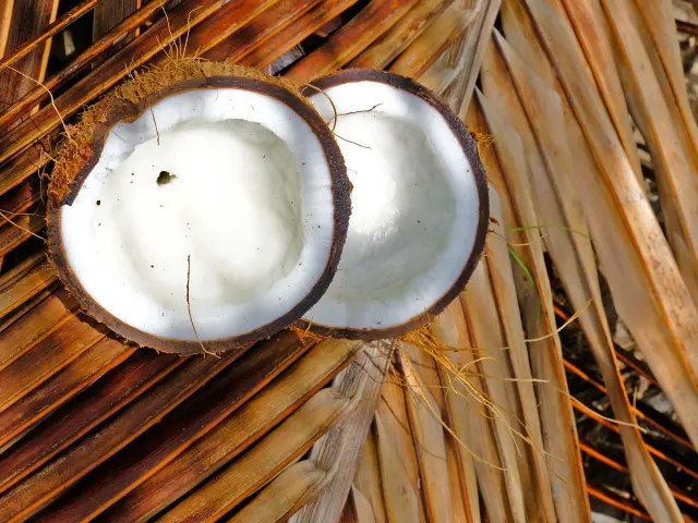 Noix de coco Cuisine Vauclin Martinique