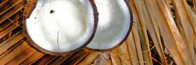 Coconut Cuisine Vauclin Martinique
