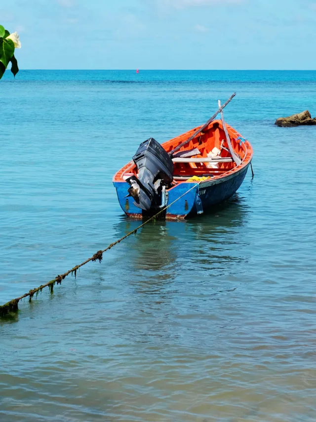 Yole Pêcheur Tartane Trinité Martinique