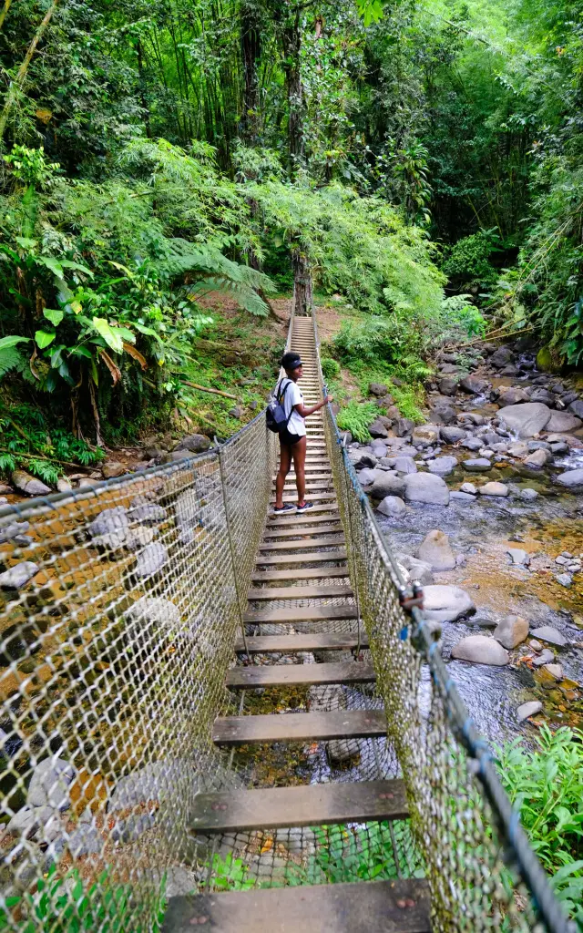 Pont suspendu Randonnée Trace des Jésuites Morne-Rouge Martinique
