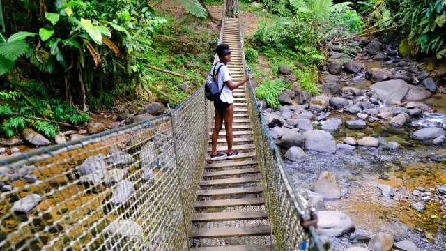 Pont suspendu Randonnée Trace des Jésuites Morne-Rouge Martinique