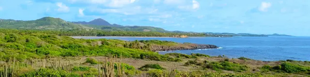 Trace des Caps Grand Macabou Vauclin Martinique