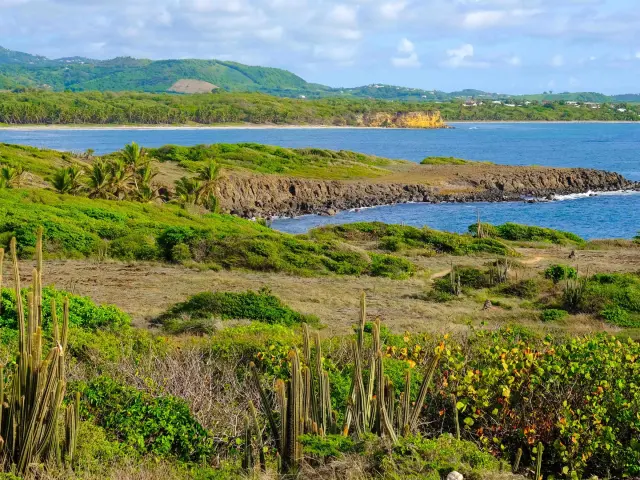 Randonnée Trace des caps Grand Macabou Vauclin Martinique