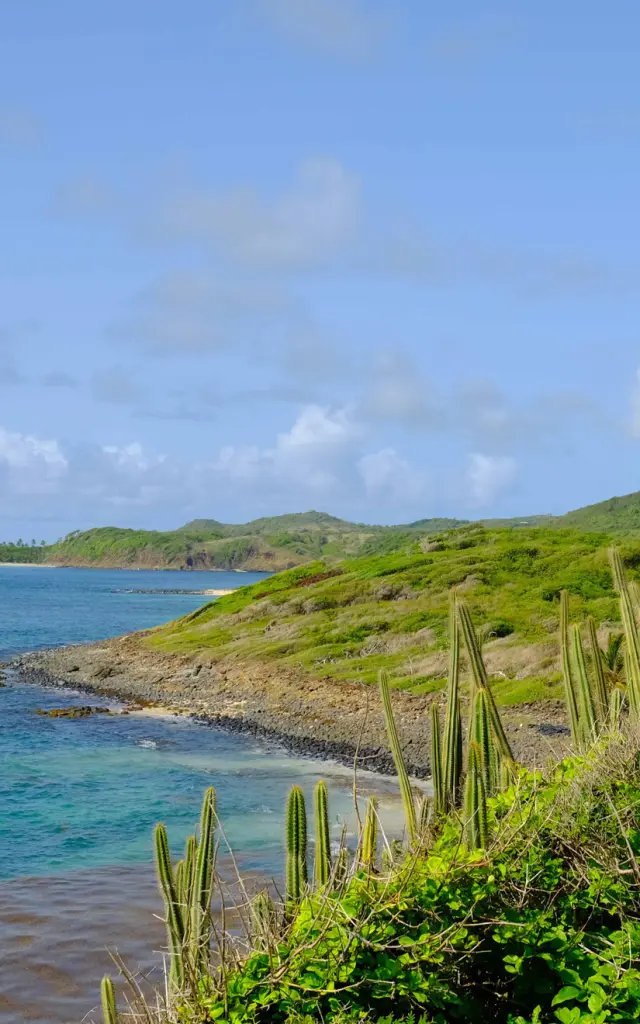 Randonnée Trace des Caps Sainte-Anne Martinique