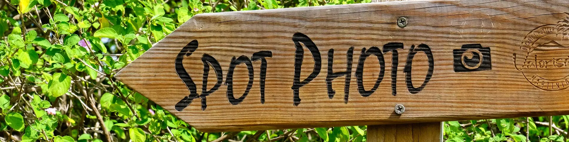 Arrow spot Valorization Martinique