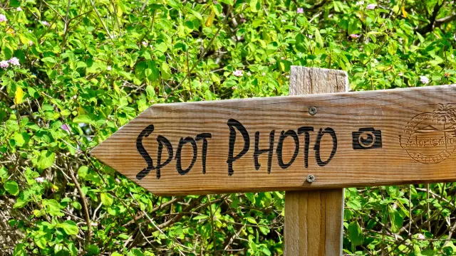 Arrow spot Valorization Martinique