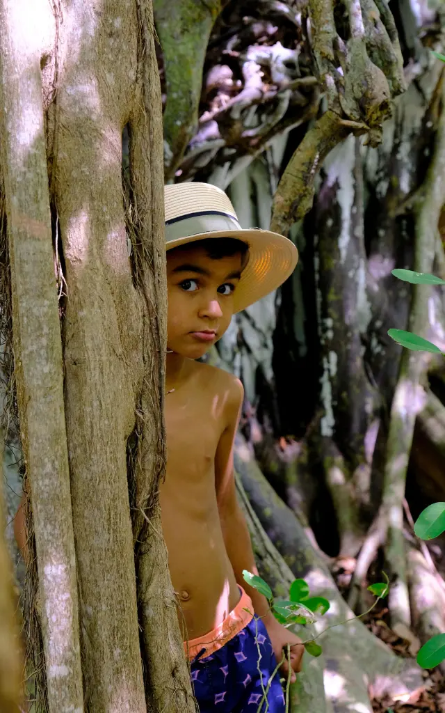 Luca Figuier maudit Cap Chevalier Sainte-Anne Martinique