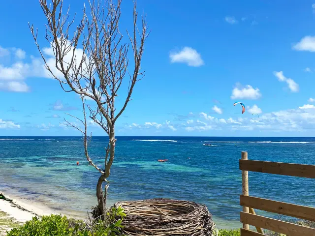 Nest Spot photo Cap Chevalier Anse Michel Sainte-Anne Martinique