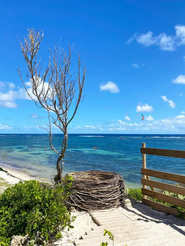 Nest Spot photo Cap Chevalier Anse Michel Sainte-Anne Martinique
