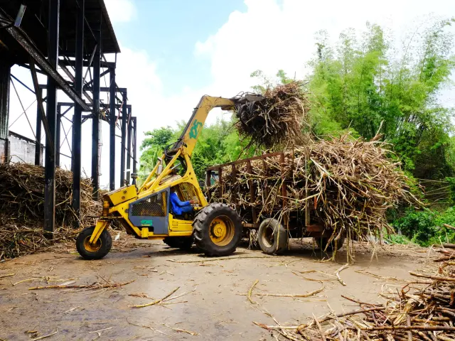 Tractor Sugar cane La Favorite Lamentin Martinique