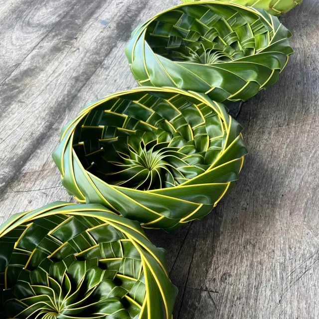 Baskets Palm Braiding Coconut Craft Market Martinique