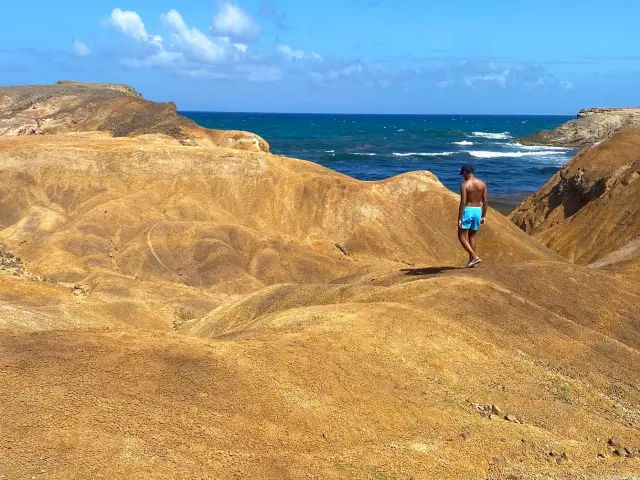 Petrification savannah Atlantic Ocean Sainte-Anne Martinique