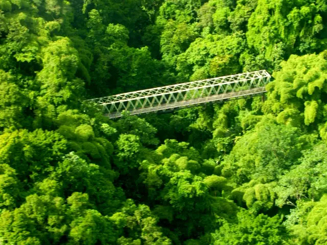 Bridge Aerial view Grand-Riviere Martinique