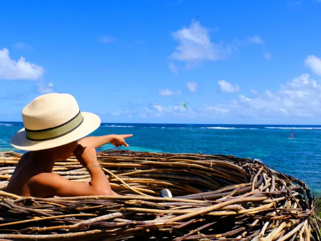 Nest of Anse Michel Sainte-Anne Martinique