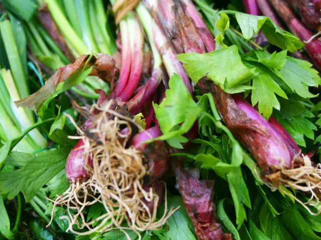 Bouquet garni Oignons pays Cive Persil Thym Épices Martinique