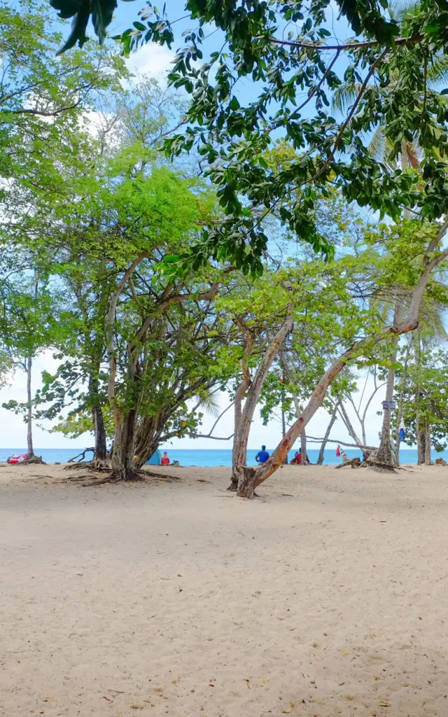 Plage de l'Anse Désert Sainte-Luce Martinique