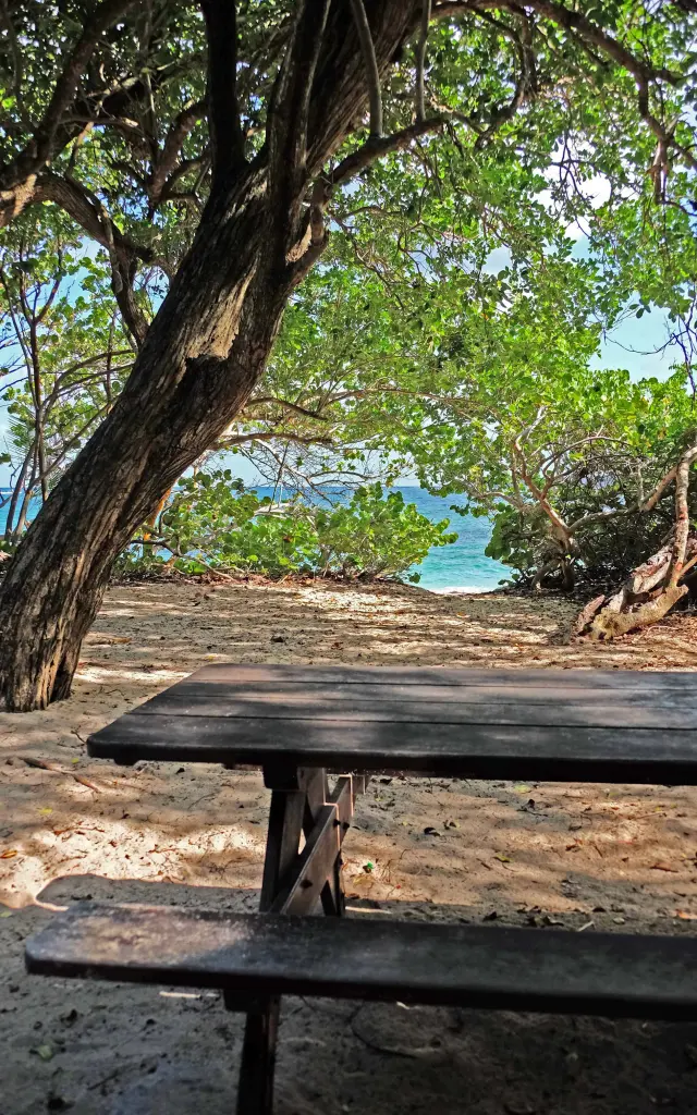 Plage de Cap Macré Sainte-Anne Martinique