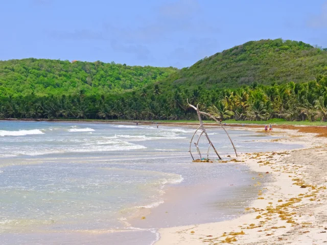 Plage Grand Macabou Vauclin Martinique