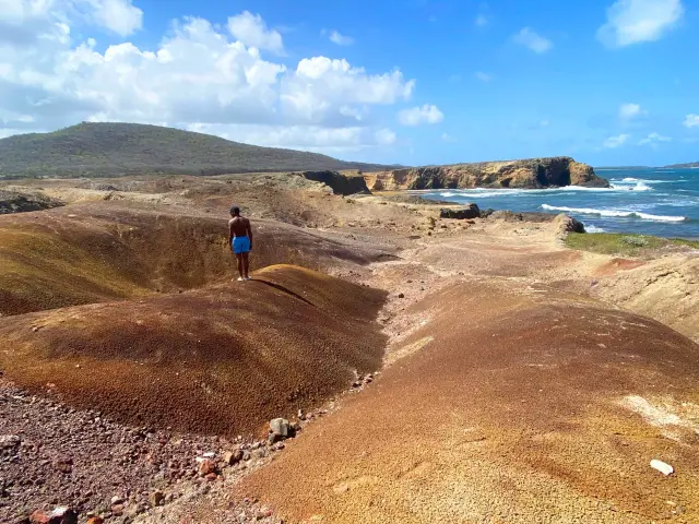 Savane des pétrifications Sainte-Anne Martinique