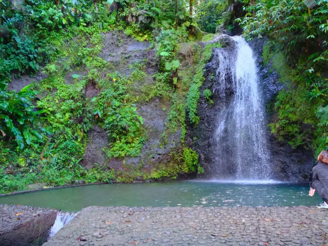 Bassin Saut Gendarme Fons-saint-denis Martinique