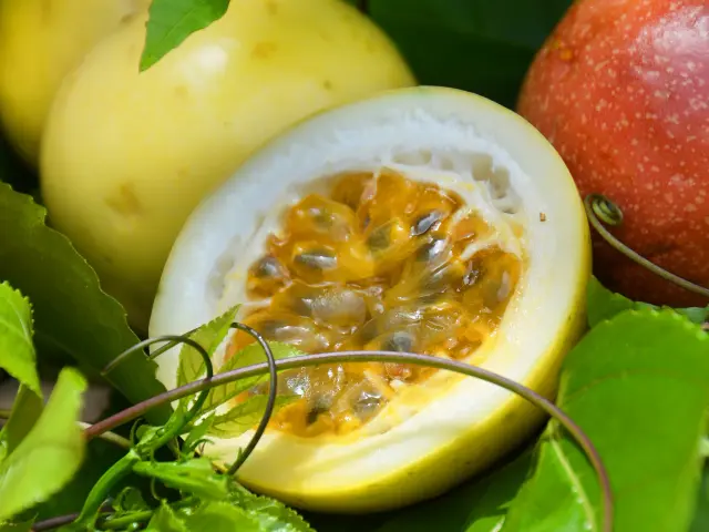 Maracudja Fruit de la passion Fruit Antilles Martinique