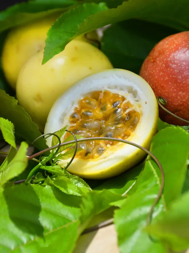 Maracudja Passion Fruit West Indies Martinique