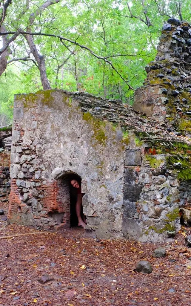 Ruines Visite Ilet Chancel Robert Martinique