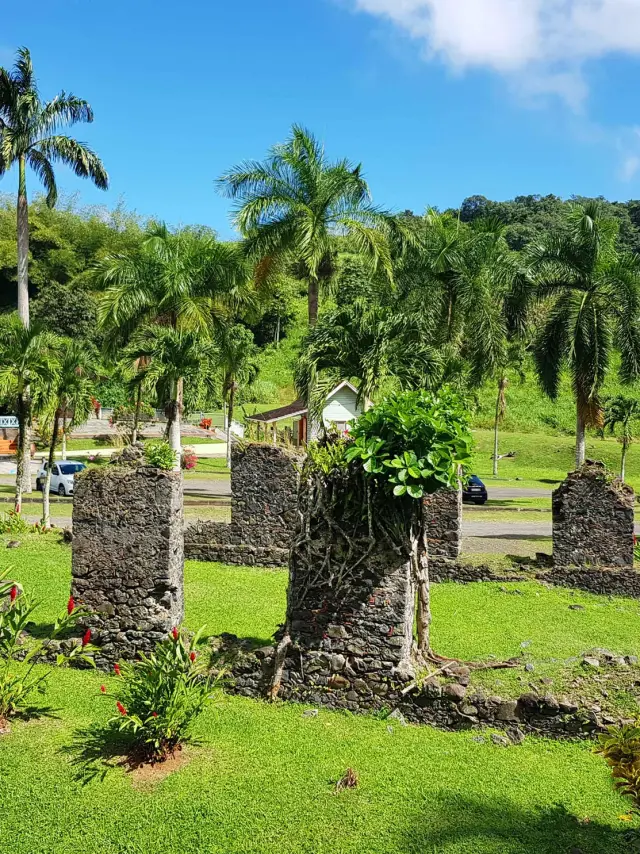 Ruines Musée de la banane Sainte-Marie Martinique