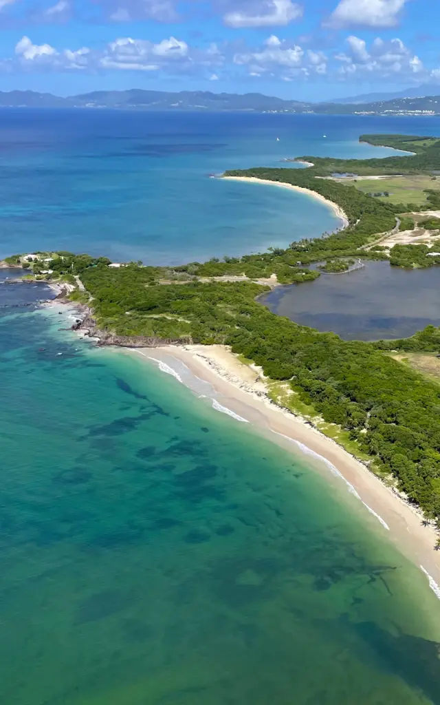 Plage des Salines Étang des Salines Sainte-Anne Aerodream Lamentin Martinique
