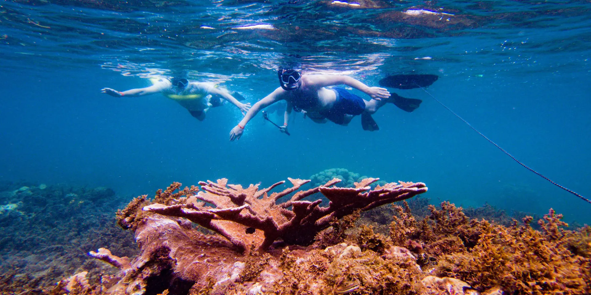 Seabed Snorkeling Les Aquanautes Marin Martinique