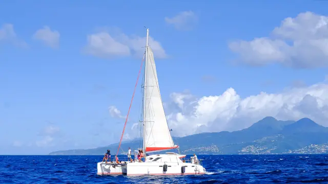 Catamaran Voile Kokoumdo Trois-îlets Martinique