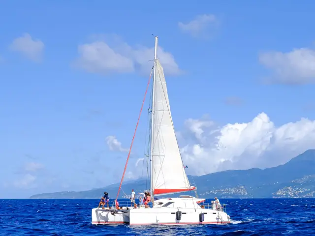 Catamaran Sailing Kokoumdo Trois-îlets Martinique