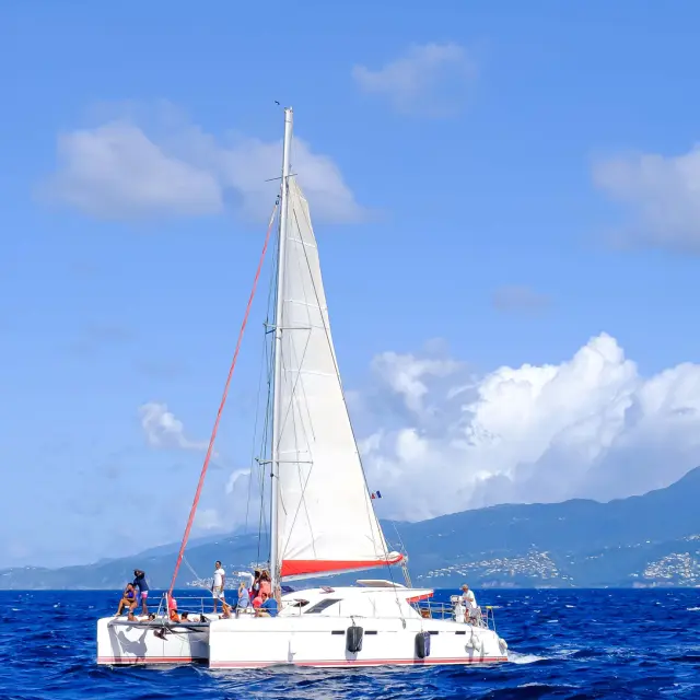 Catamaran Voile Kokoumdo Trois-îlets Martinique